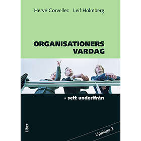 Organisationers Vardag : Sett Underifrån