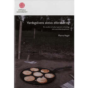Vardagslivets Aktiva Oförändring : En Studie Av Kultur Genom Arkeologi Och Stenåldersboplatser