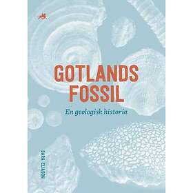 Gotlands Fossil – En Geologisk Historia