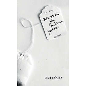 Tevisdom För Vilsna Själar : Noveller