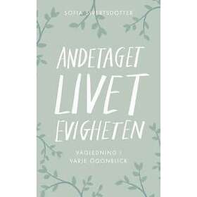Andetaget, Livet, Evigheten: Vägledning I Varje Ögonblick