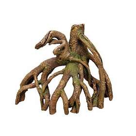 Nobby Mangrove 28x13x22cm