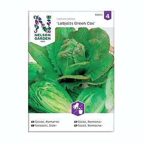 Nelson Garden Frö Romersk sallat Lobjoits Green Cos Sallat