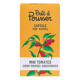 Pret Frökapslar A Pousser Minitomater