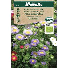 Weibulls Frö Aster, sommar KRAV Blandning