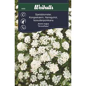 Weibulls Frö Spetsblomster