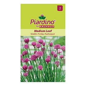 Piardino Grönsaksfrö Gräslök Medium Leaf