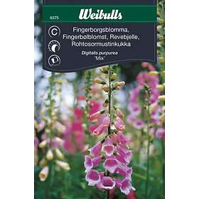 Weibulls Blomfrö Mix Fingerborgsblomma Blandning
