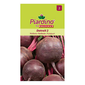 Piardino Grönsaksfrö Rödbeta Detroit 2