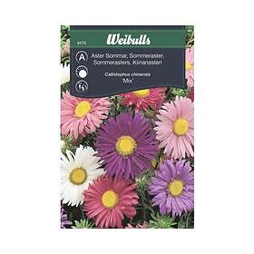 Weibulls Blomfrö Frö Aster Sommar Enkelblommande Mix