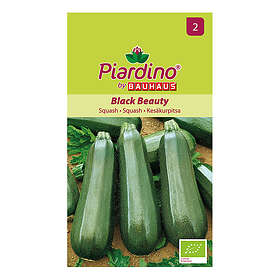 Piardino Grönsaksfrö Squash Black Beauty