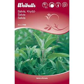 Weibulls Grönsaksfrö Frö Salvia Krydd- Krydd