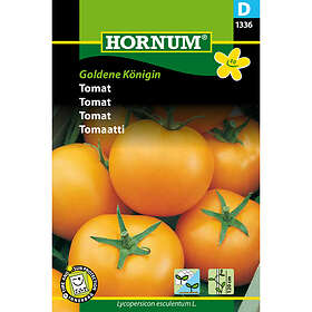 Hornum Hornum Tomat, Goldene Königin