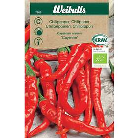 Weibulls Grönsaksfrö Frö Chili Cayenne Krav Organic