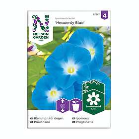 Nelson Garden Frö Blomman för dagen Heavenly Blue