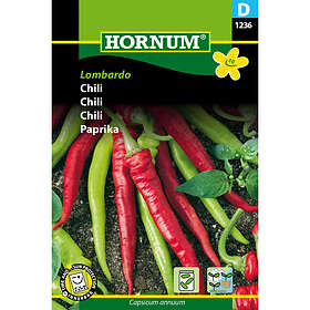 Hornum Chilipeppar, Lombardo