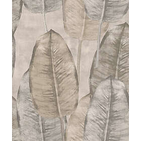 Midbec Rubber Tree TA25080