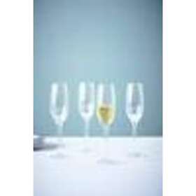 Jotex Maxim Champagneglass 4-pack