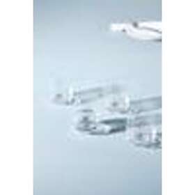 Jotex Kai Lav Glass 4-pack