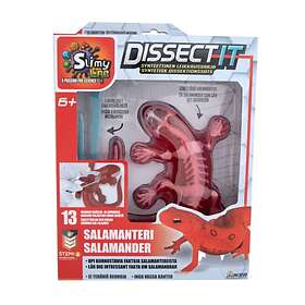 Martinex Dissect It Salamander