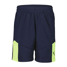 Puma individualFINAL Shorts (Jr)