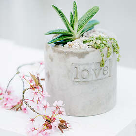 Dixie Love Ø16cm