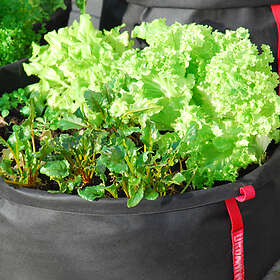 Urbanero MicroGarden 60