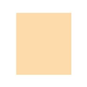 Winsor & Newton Promarker Vanilla O929