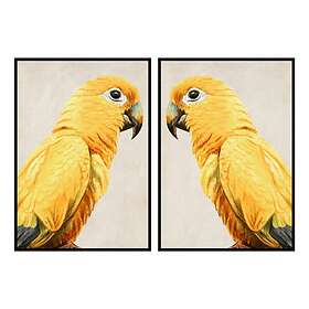 DKD Home Decor Maleri Papegøje Tropisk (103 x 4,2 x 143 cm) (2 enheder)