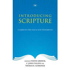 Introducing Scripture