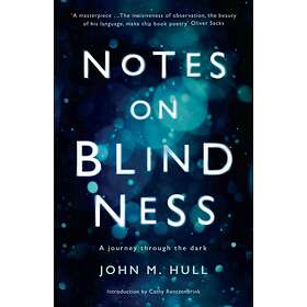 Notes on Blindness av John Hull