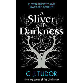 A Sliver of Darkness av C. J. Tudor