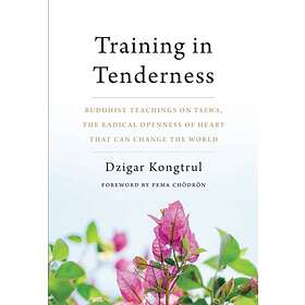 Training in Tenderness av Dzigar Kongtrul