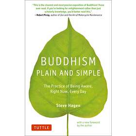 Buddhism Plain and Simple av Steve Hagen