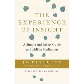 The Experience of Insight av Joseph Goldstein