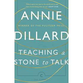 Teaching a Stone to Talk av Annie Dillard
