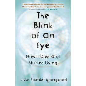 The Blink of an Eye av Rikke Schmidt Kjaergaard