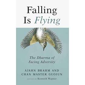 Falling is Flying av Ajahn Brahm, Guojun Master