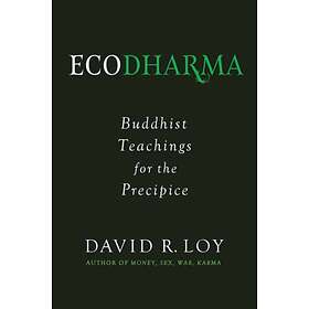 Ecodharma av David Loy