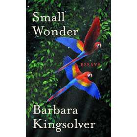 Small Wonder av Barbara Kingsolver