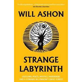 Strange Labyrinth av Will Ashon