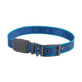 Nite Ize Nitedog Recharge LED Collar