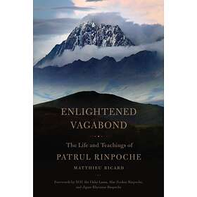 Enlightened Vagabond av Dza Patrul Rinpoche, Matthieu Ricard