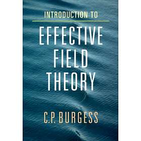 Introduction to Effective Field Theory av C. P. Burgess