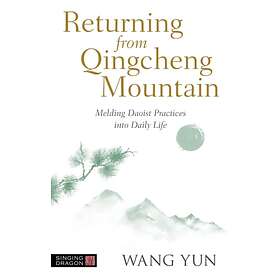 Returning from Qingcheng Mountain av Wang Yun