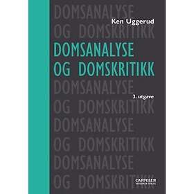 Domsanalyse og domskritikk av Ken Uggerud