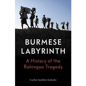 The Burmese Labyrinth av Carlos Sardina Galache