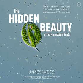 The Hidden Beauty of the Microscopic World av James Weiss