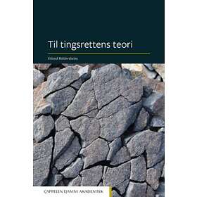 Til tingsrettens teori av Erlend Baldersheim