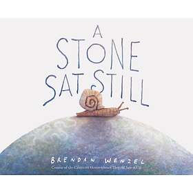 A Stone Sat Still
